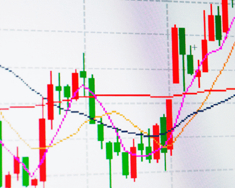 Anthropic Effect in Finance 2026